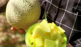 娱乐吃瓜在国外叫什么