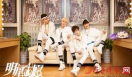 最新爆料偶像剧,偶像剧新爆点，神秘恋情引热议